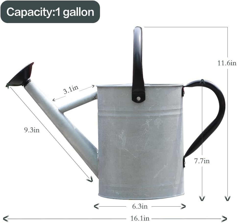 Metal Watering Can, 1 Gallon for Outdoor Garden Plants,SilverB