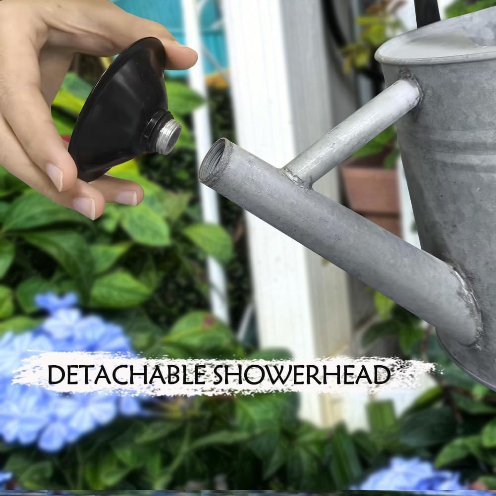 Metal Watering Can, 1 Gallon for Outdoor Garden Plants,SilverB