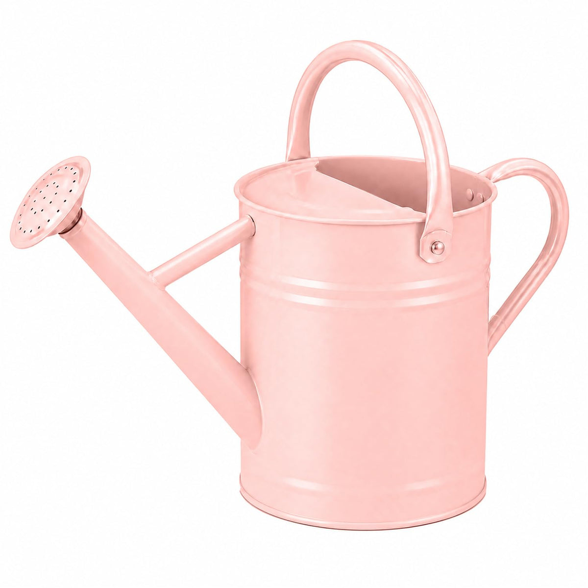 1 Gallon Metal Watering Can for Indoor Outdoor Plants, Blue