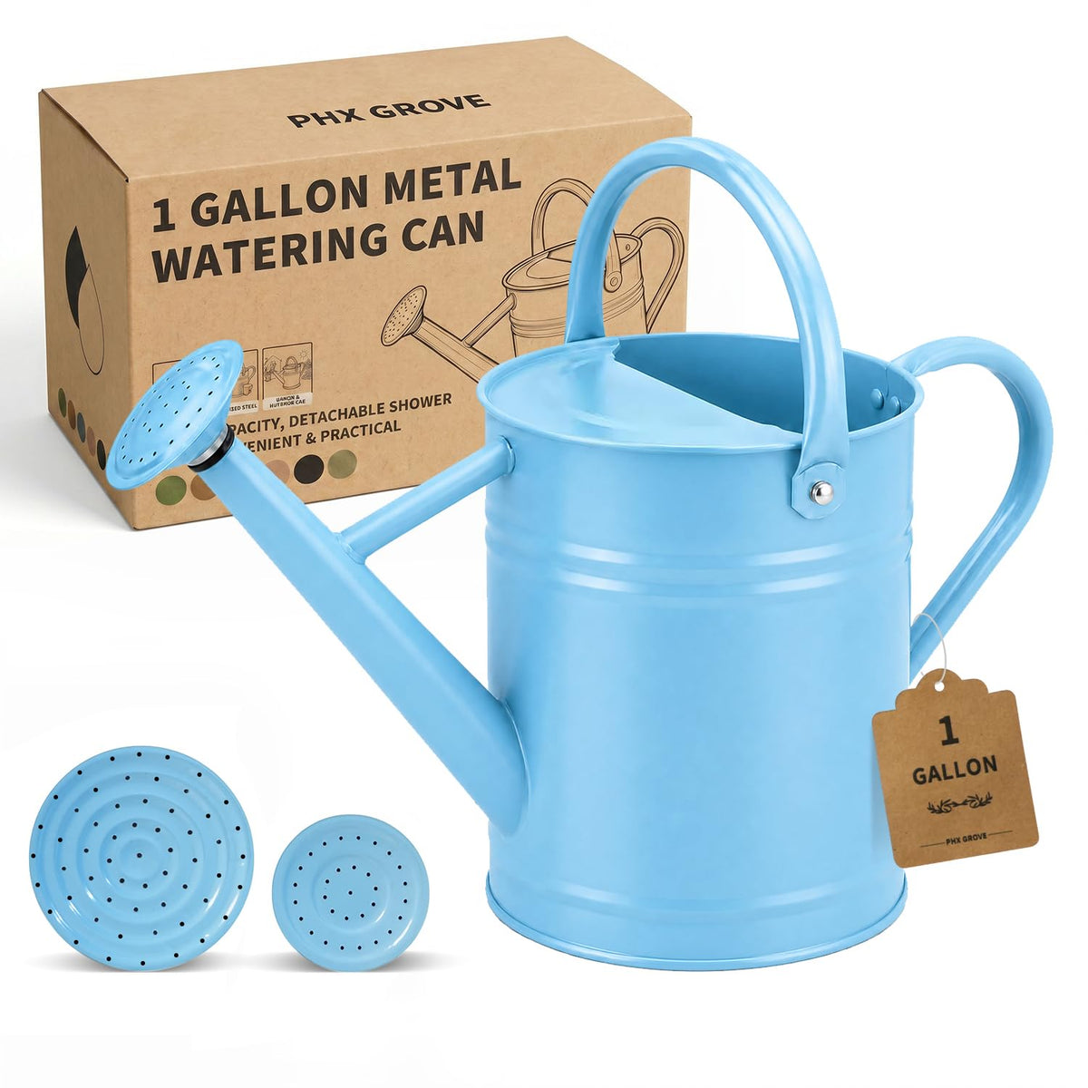 1 Gallon Metal Watering Can for Indoor Outdoor Plants, Blue