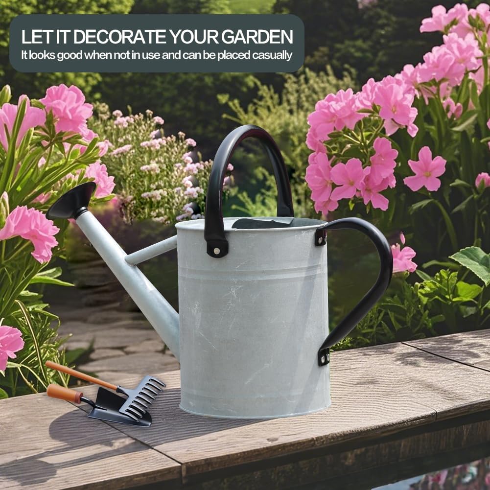 Metal Watering Can, 1 Gallon for Outdoor Garden Plants,SilverB
