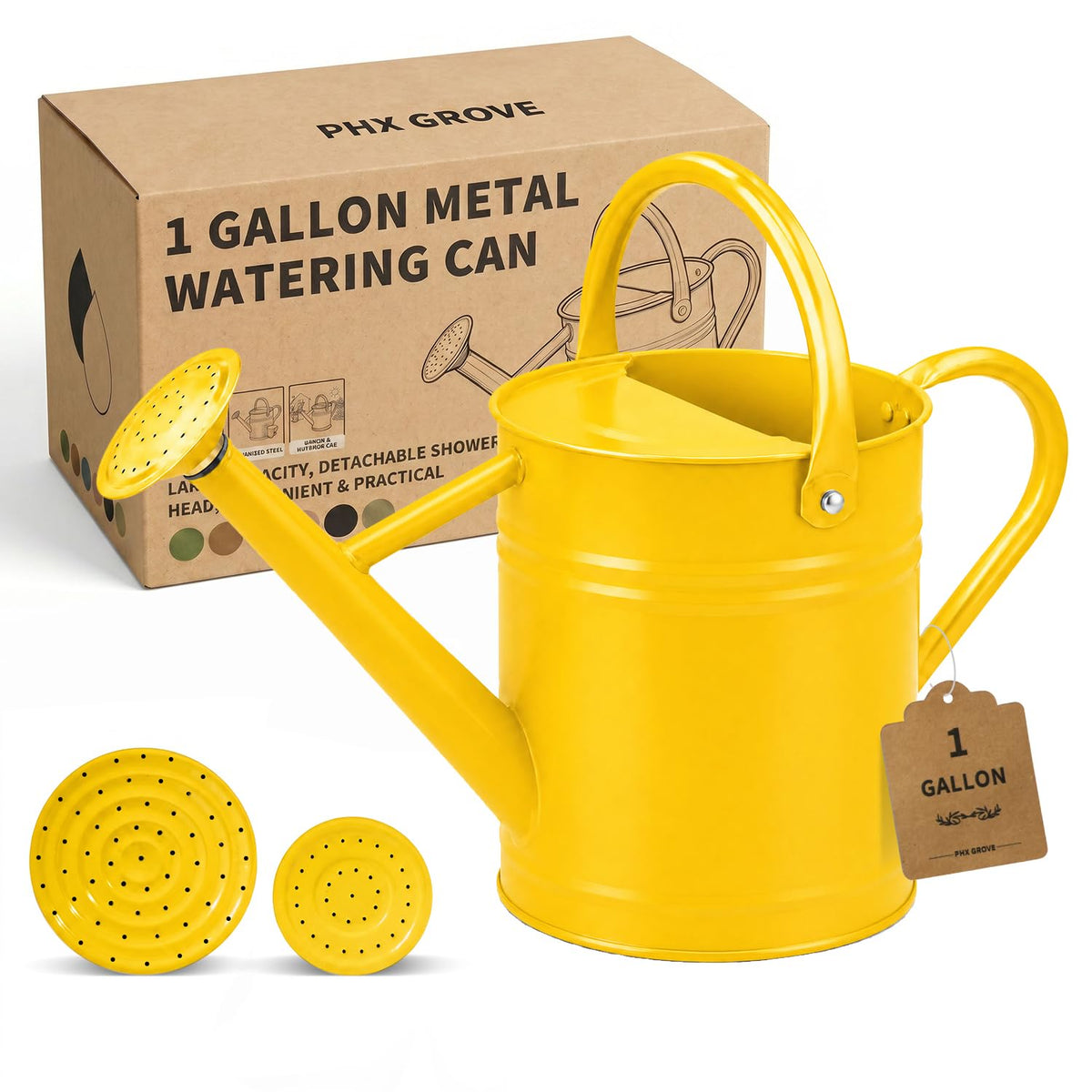1 Gallon Metal Watering Can for Indoor Outdoor Plants, Blue