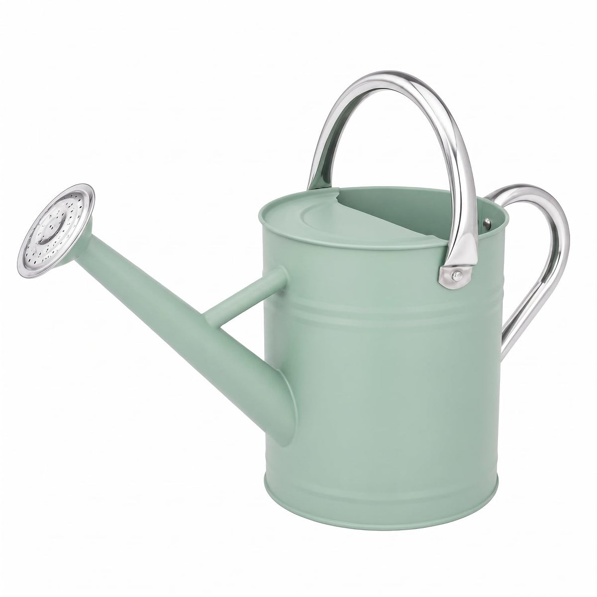 1 Gallon Metal Watering Can for Indoor Outdoor Plants, Blue