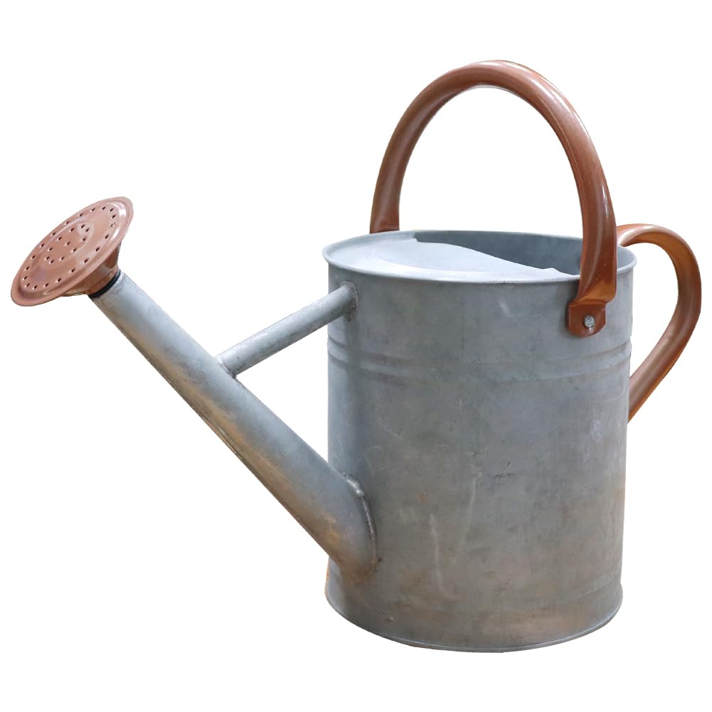 Metal Watering Can, 1 Gallon for Outdoor Garden Plants,SilverB