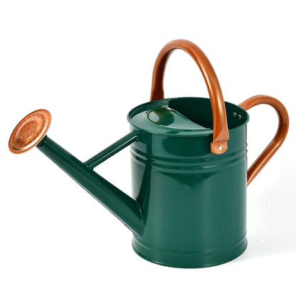 Metal Watering Can, 1 Gallon for Outdoor Garden Plants,EGreen