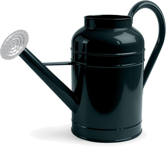 2.3 Gallon Dark Green Metal Watering Can, Galvanized Watering Can for Outdoor Indoor Plants, Large Water Can for Plants and Garden Flower, Pure Color