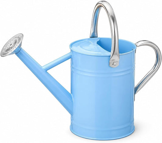 1 Gallon Metal Watering Can for Indoor Outdoor Plants, Blue