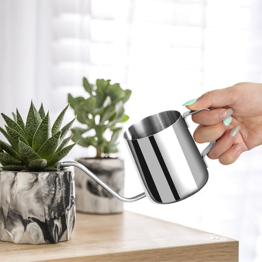 12 oz Small Watering Can Indoor Plants Stainless Steel Mini Watering Can