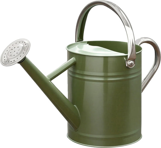 Metal Watering Can, 1 Gallon for Outdoor Garden Plants,EGreen