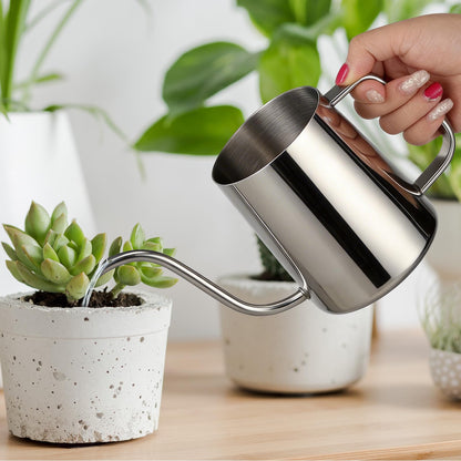 12 oz Small Watering Can Indoor Plants Stainless Steel Mini Watering Can
