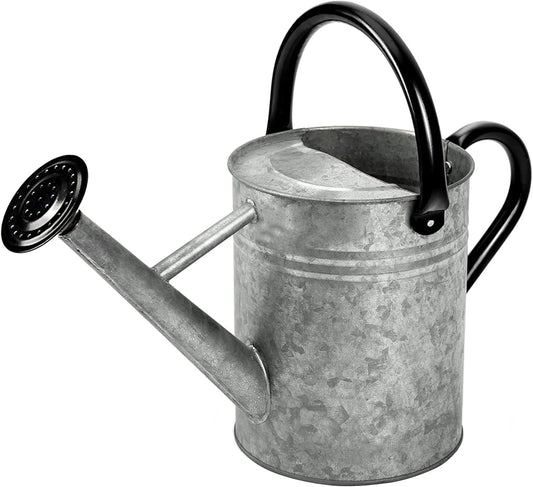 Metal Watering Can, 1 Gallon for Outdoor Garden Plants,SilverB