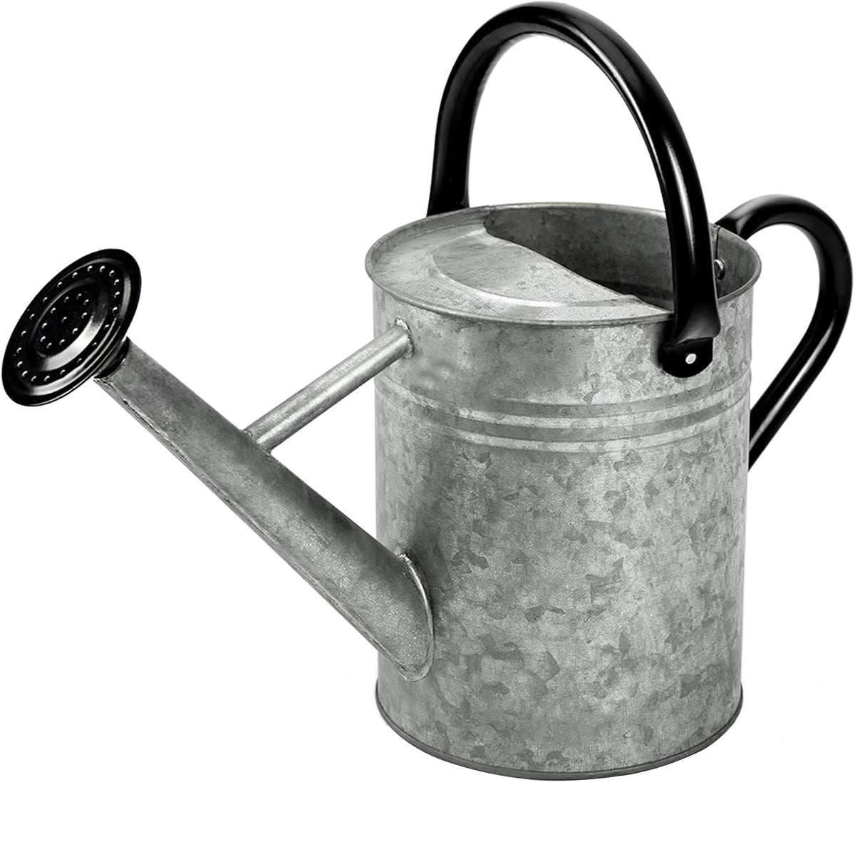 Metal Watering Can 1 Gallon for Outdoor Garden Plants, Green