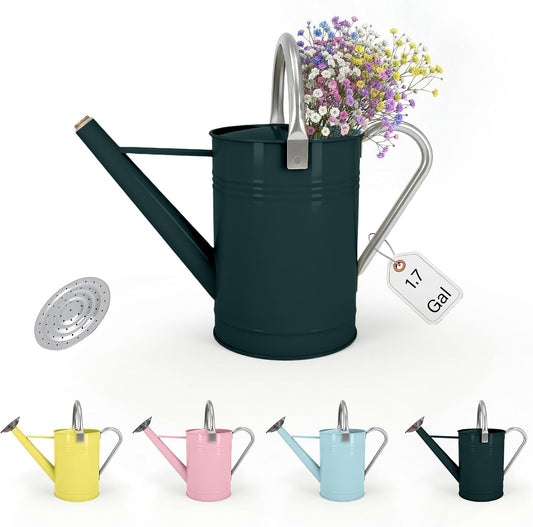 Galvanized Iron Watering Can for Indoor Plants, DIY Watering Cans for House Plant Garden Flower, Long Spout Water Can for Outdoor Watering Plants 6.44L 1.7Gallon (Dark Green)